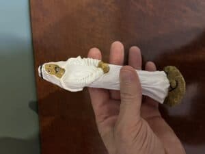 Красивая гипсовая статуэтка араба, привезенная из ОАЭ, для декора