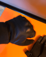 Перчатки тактические с закрытыми пальцами, размер M-XL, цвет- чёрный