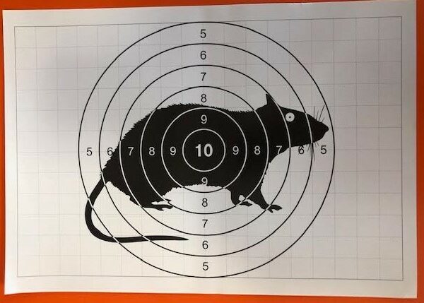 Мішень паперова, розмер 21х27,5 см (алебарда та інше)